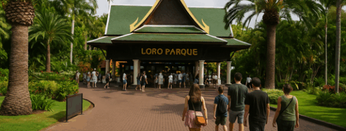 Loro Parque Tenerife – Scopri il cuore della meraviglia naturale dell’isola